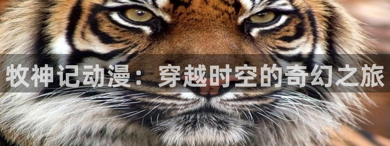 囧次元官方下载