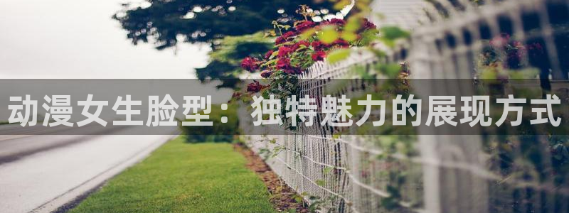 免费下载囧次元app