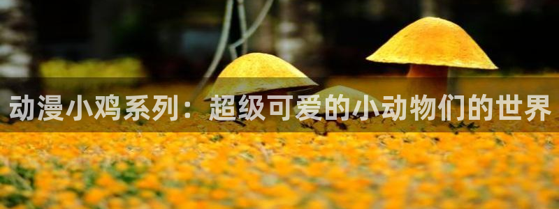 囧次元是什么