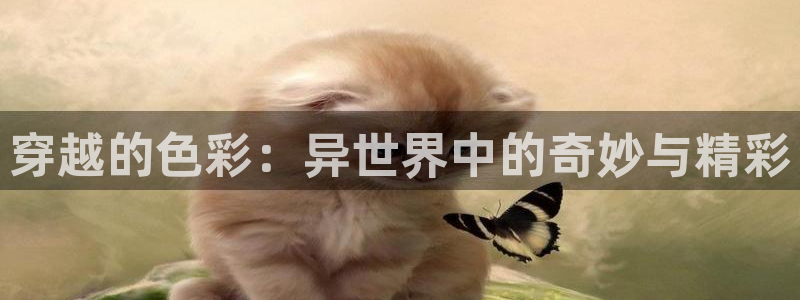 囧次元新版本下载