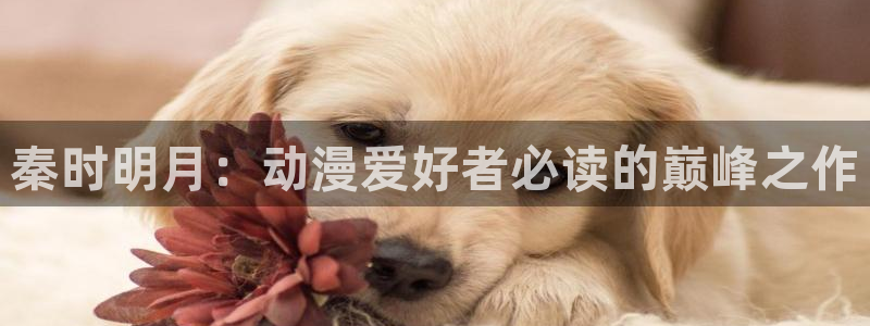 囧次元官方网站入口官网在线观看