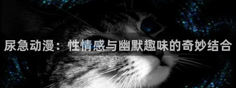 囧次元官网入口