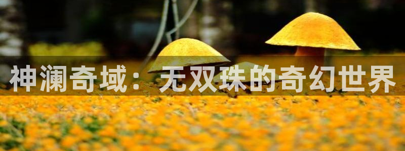 囧次元在线