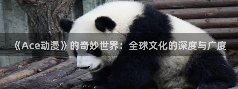 囧次元app下载动漫