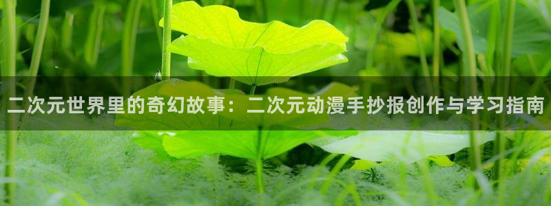 囧次元下载入口