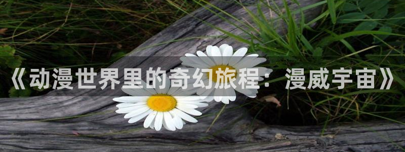 囧次元动漫官网下载入口