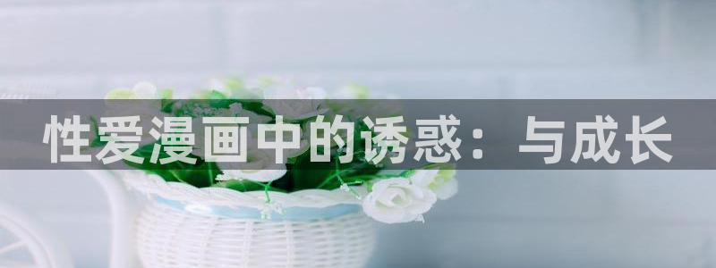 囧次元下载入口