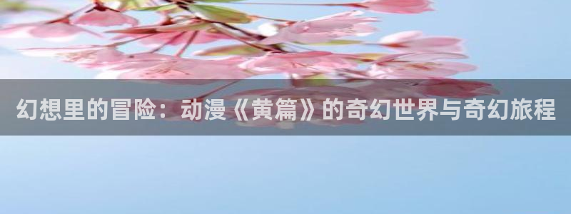 囧次元官方网站入口官网在线观看