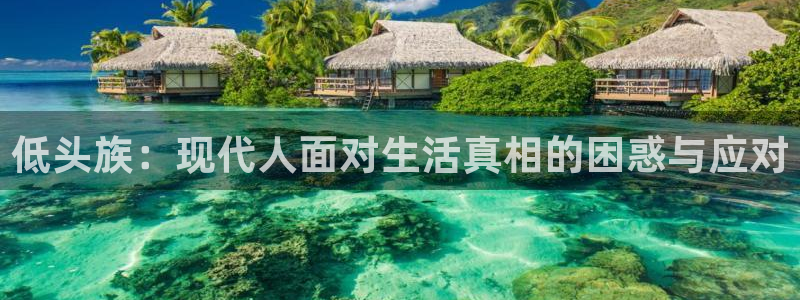 囧次元官网网址最新