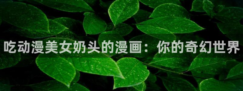 囧次元官方正版下载入口
