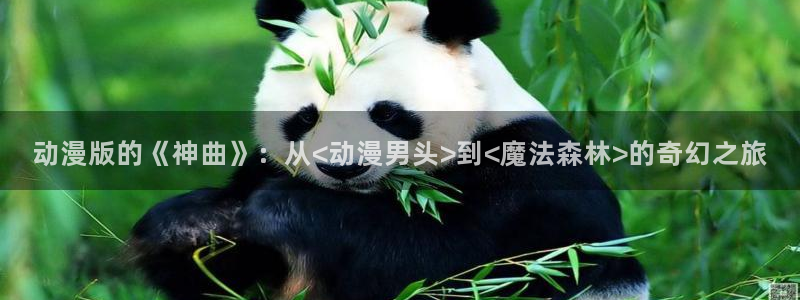 囧次元老版本