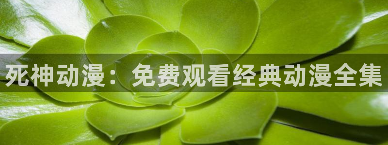 囧次元官方网站