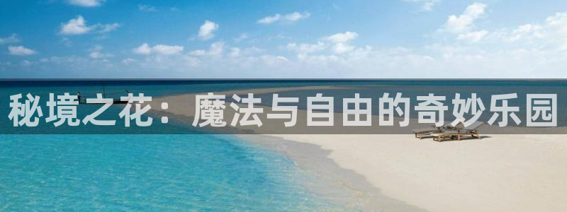 囧次元.apk