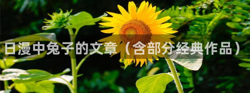 囧次元下载正版官网