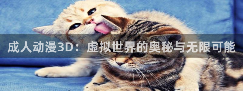 囧次元官方入口