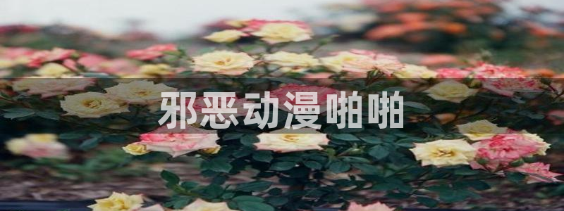 囧次元老版本