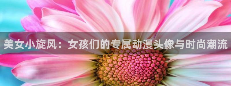 囧次元看动漫