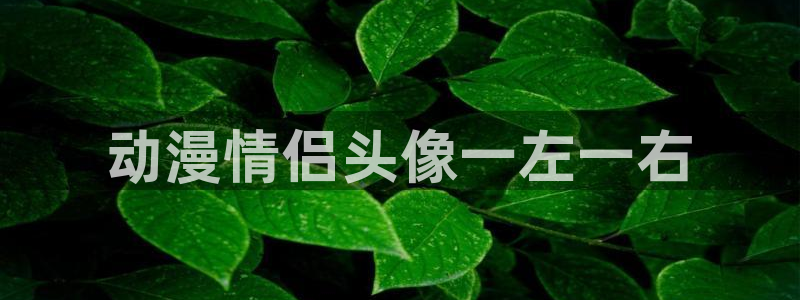 囧次元app官方