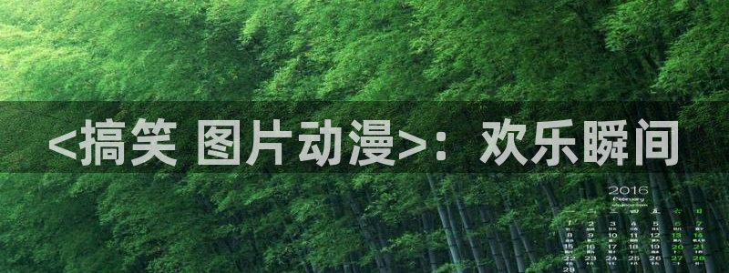囧次元动漫app正版下载