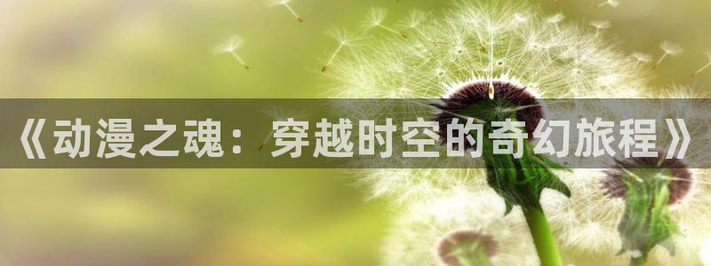 囧次元官网网址最新