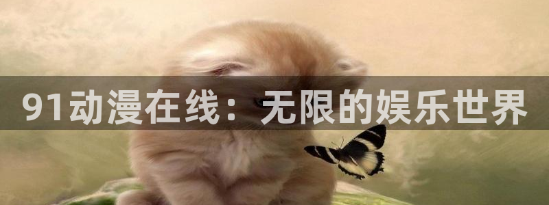 囧次元安卓版下载