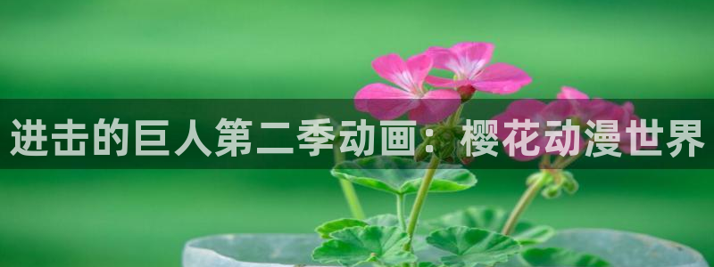 囧次元app正版下载