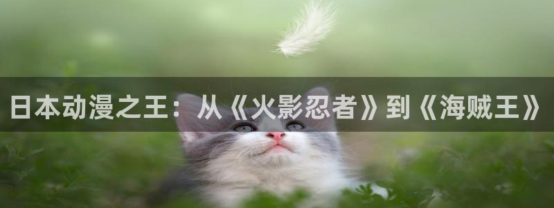 囧次元a