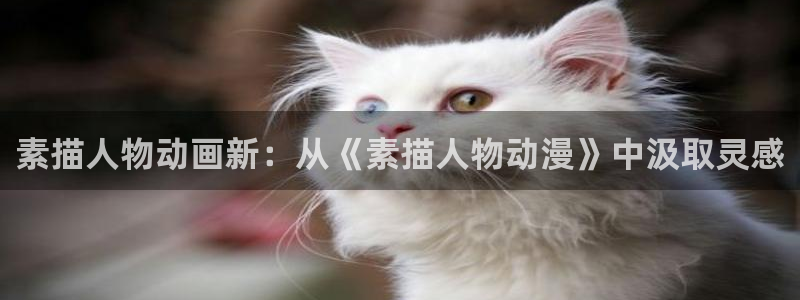 囧次元app下载官方版：素描人物动画新：从《素描人物动漫》中汲取灵感