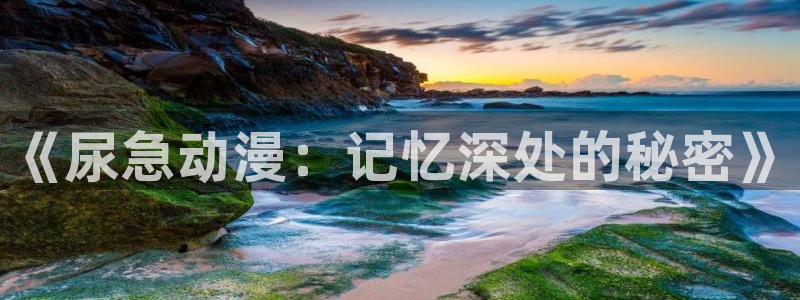 囧次元官网官网：《尿急动漫：记忆深处的秘密》