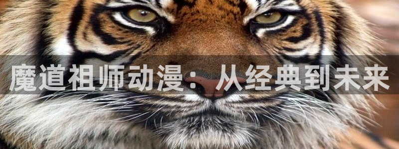 囧次元官方网站入口官网在线观看：魔道祖师动漫：从经典到未来
