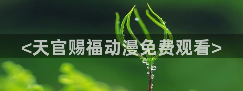 囧次元下