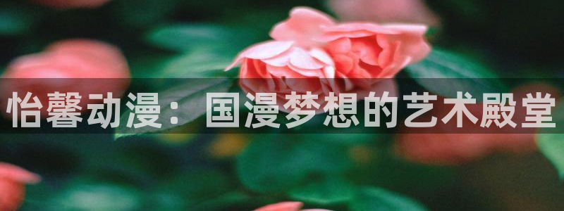囧次元网页版入口