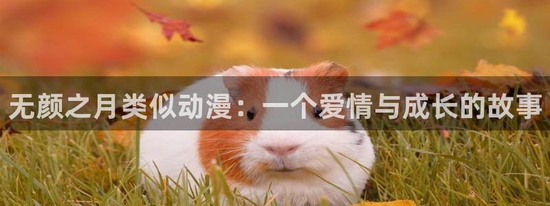 囧次元官方网站入口下载