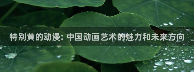 囧次元最新版本下载