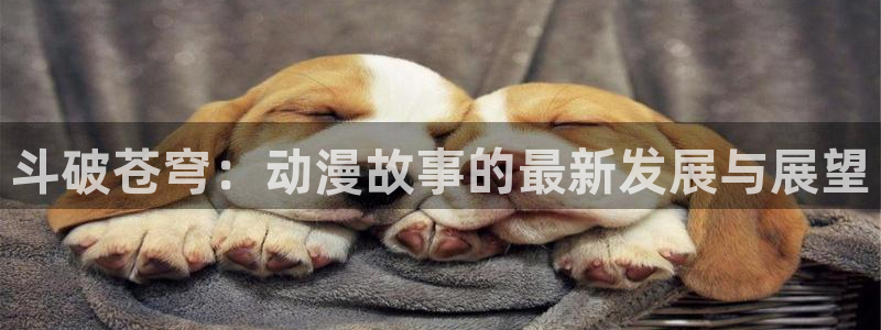 囧次元app下载官网最新版本：斗破苍穹：动漫故事的最新发展与展望