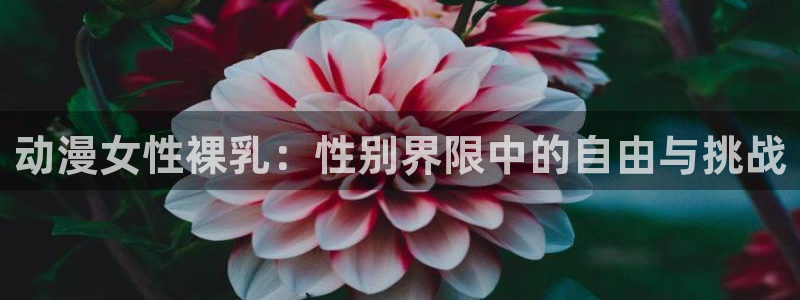 囧次元最新版下载官方正版：动漫女性裸乳：性别界限中的自由与挑战