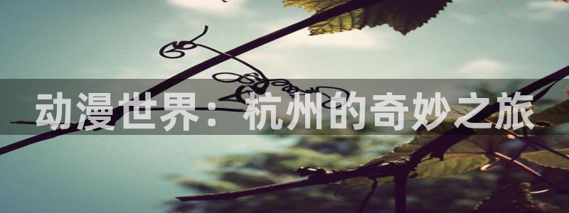 囧次元官网入口网址：动漫世界：杭州的奇妙之旅