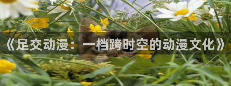 囧次元网站：《足交动漫：一档跨时空的动漫文化》
