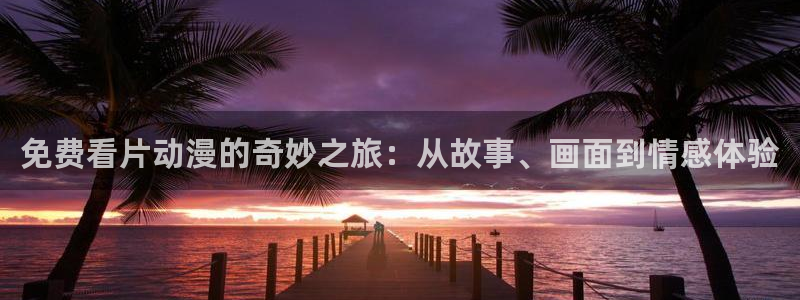 囧次元正版下载官方入口：免费看片动漫的奇妙之旅：从故事、画面到情感体验