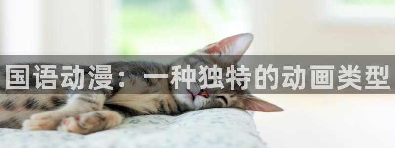 囧次元官方网站入口安卓版：国语动漫：一种独特的动画类型