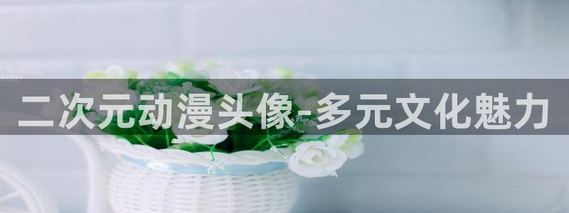 囧次元官方最新版：二次元动漫头像-多元文化魅力