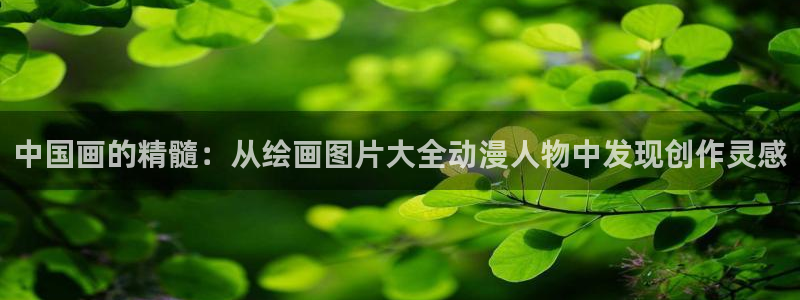 囧次元：中国画的精髓：从绘画图片大全动漫人物中发现创作灵感