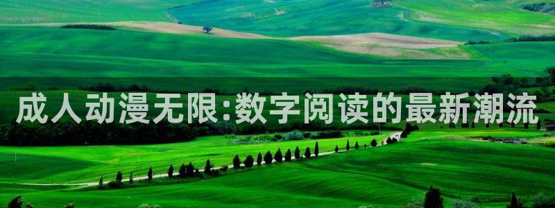 囧次元更新：成人动漫无限:数字阅读的最新潮流