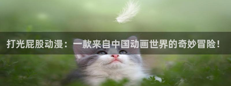 囧次元免费看动漫：打光屁股动漫：一款来自中国动画世界的奇妙冒险！