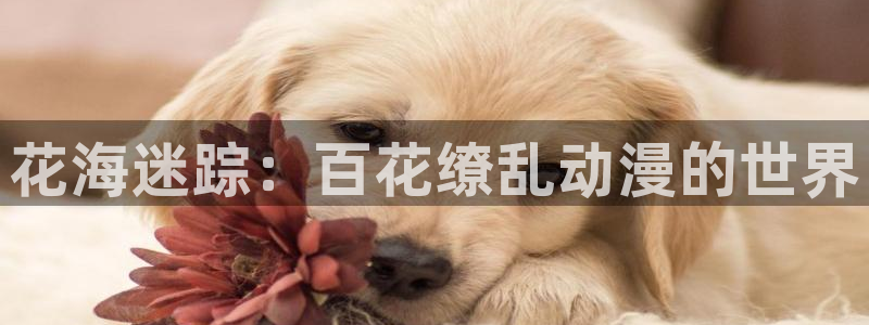 jcapp囧次元官网入口：花海迷踪：百花缭乱动漫的世界