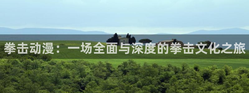 囧次元动漫：拳击动漫：一场全面与深度的拳击文化之旅