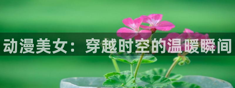 囧次元app官方入口：动漫美女：穿越时空的温暖瞬间