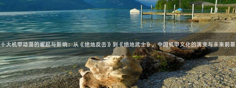 囧次元正版下载：十大机甲动漫的崛起与影响：从《绝地反击》到《绝地武士》，中国机甲文化的演变与未来前景
