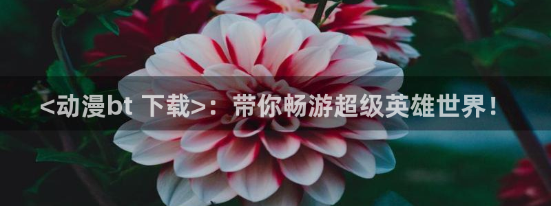囧次元官网入口网址：<动漫bt 下载>：带你畅游超级英雄世界！