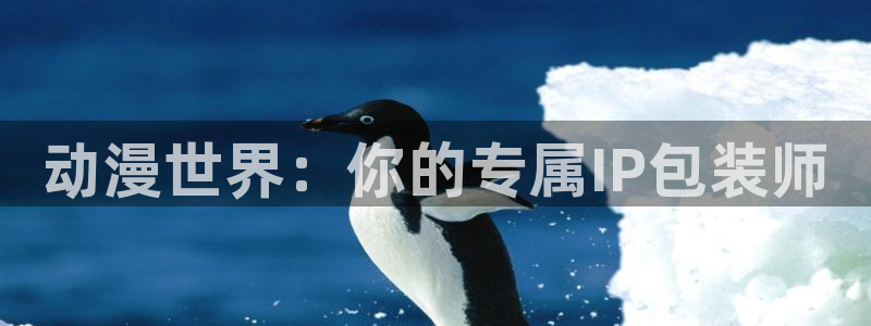 囧次元app入口：动漫世界：你的专属IP包装师